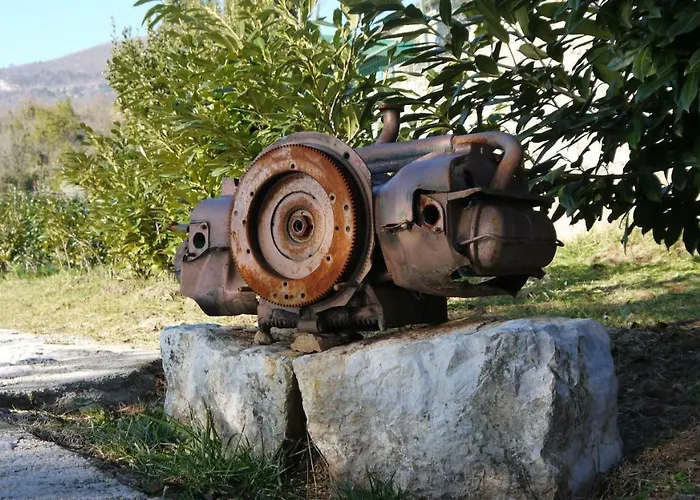 Capra * Ičići